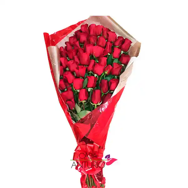 Amor Extraordinario - Gran Bouquet 24 Rosas Rojas