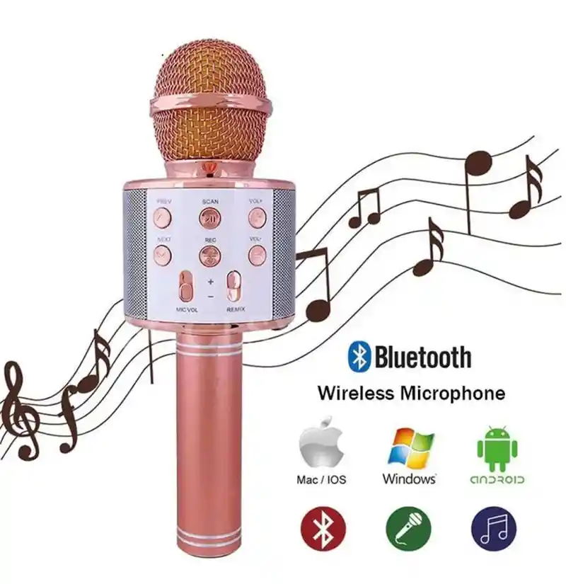 Micrófono Karaoke