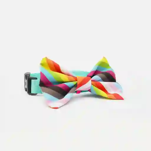 Corbatín Xs Diversidad