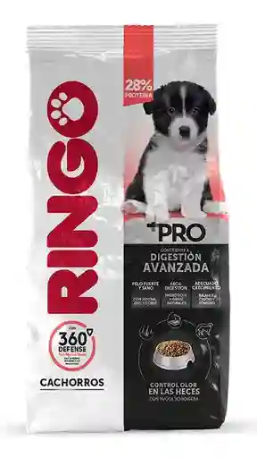 Ringo +pro Cachorros30kl