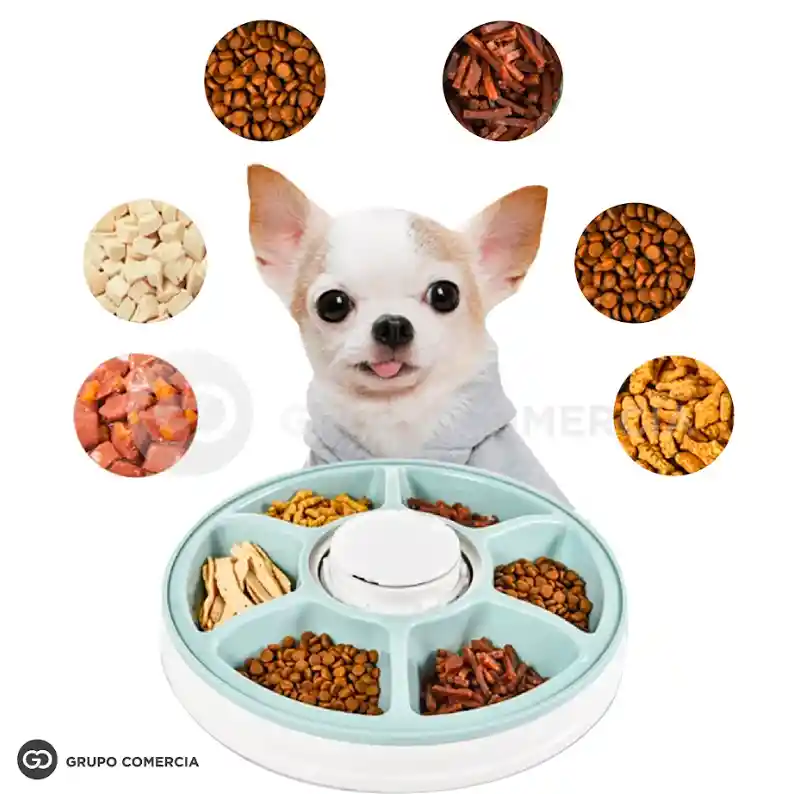 Dispensador Automático Comida De Mascotas 6 Compartimientos