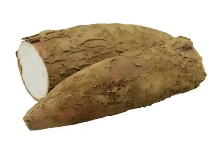 Yuca