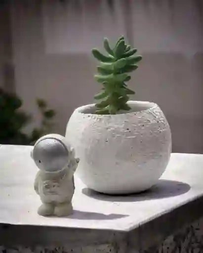 Maceta Cemento Decorativas De Luna Blanca Con Astronauta Y Suculenta Matera