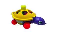 Tortuga Didactita