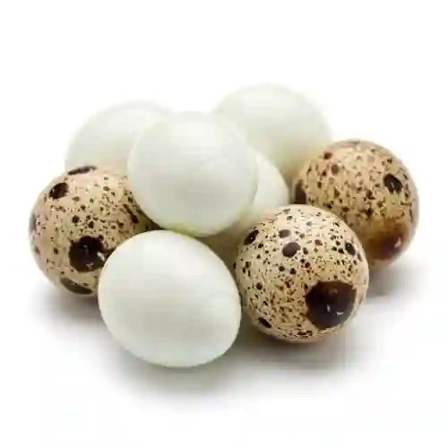 Huevos de Codorniz