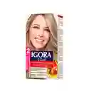 Igora Tinte Vital Rubio Extra Claro Cenizo 9-1 100 mL