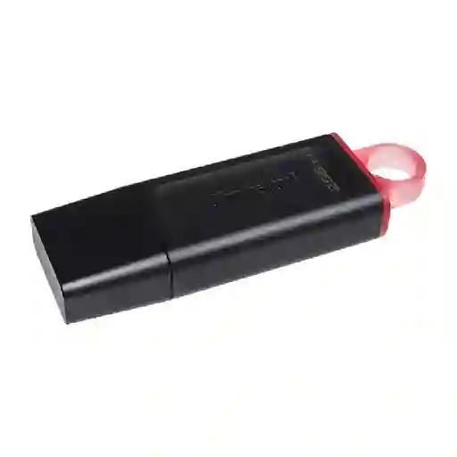 Memoria Usb Kingston 256gb Dtx/256gb Exo
