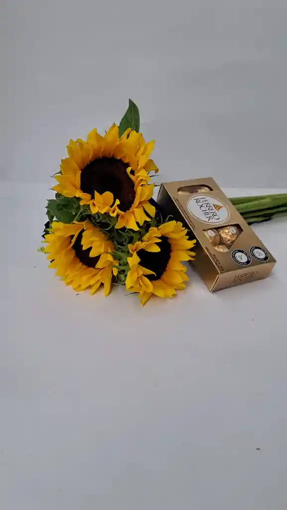 Girasoles Y Chocolates X8