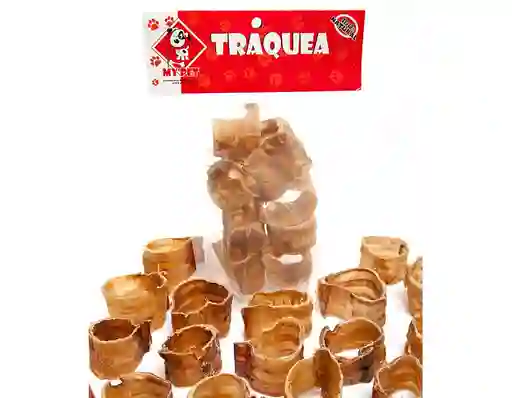 Snack Traquea Tubos