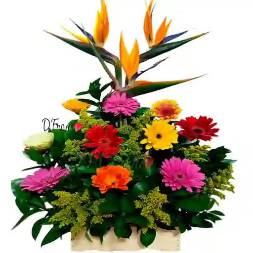 Arreglo Floral Alegría