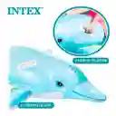 Flotador Intex 58535 Delfin Hermoso Inflable Piscina