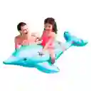 Flotador Intex 58535 Delfin Hermoso Inflable Piscina