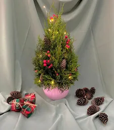 Árbol De Navidad Pino De Navidad Rosado