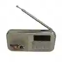 Mini Radio Recargable Am/fm - Grabador Mp3