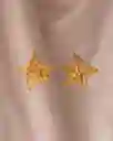 Aretes Topo Estrella Carambolo