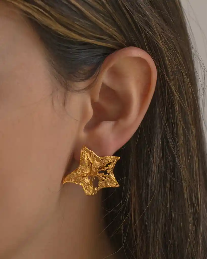 Aretes Topo Estrella Carambolo