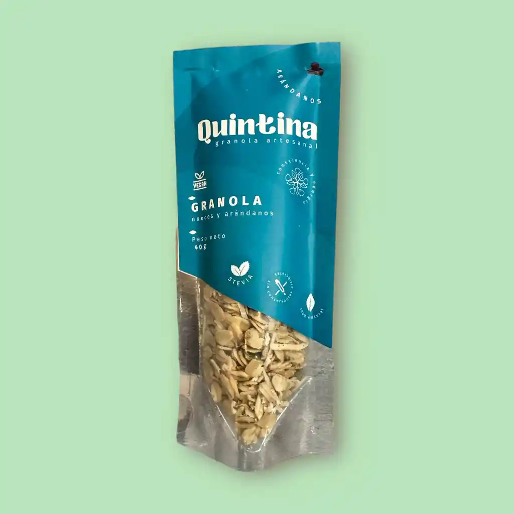 Granola Nueces Y Arandanos 40g Quintina