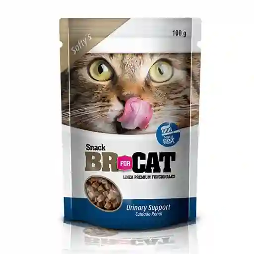 Br Gato Cat Snack Para Gato Cuidado Renal Br For Cat 100 Gr