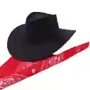 Sombrero Vaquero Negro Con Pañoleta