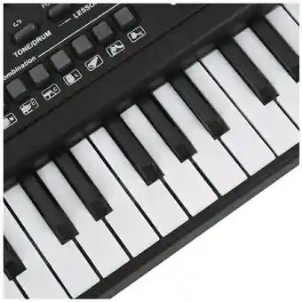 Teclado Organeta Piano Electrónico 61 Teclas Micrófono Usb