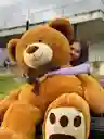 Oso De Peluches Gigante 200 Cm