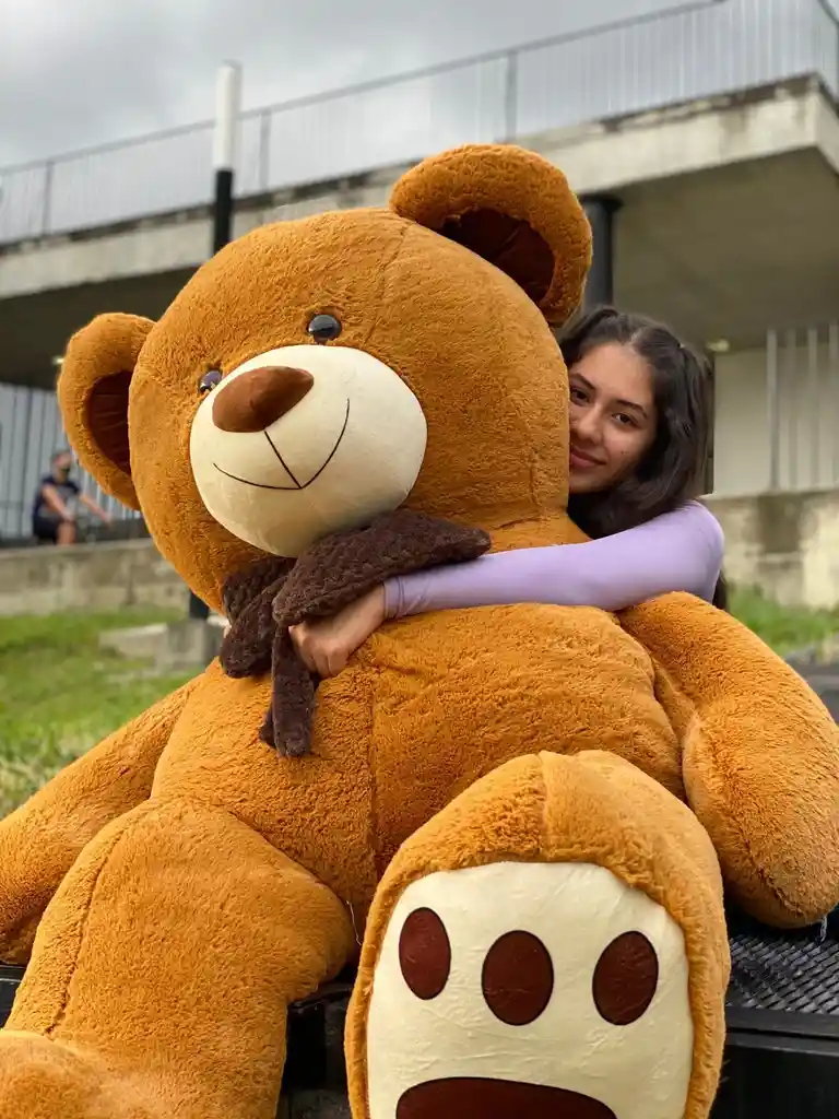 Oso De Peluches Gigante 200 Cm