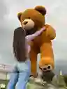 Oso De Peluches Gigante 200 Cm