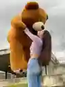 Oso De Peluches Gigante 200 Cm