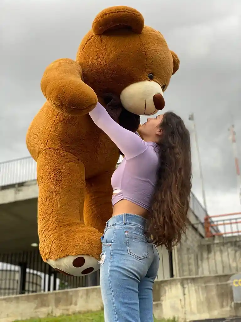 Oso De Peluches Gigante 200 Cm