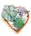 Terrario Suculentas En Matera De Barro En Forma De Corazón