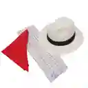 Sombrero Aguadeño Poncho Y Pañoleta Para Niños De 2 A 4 Años