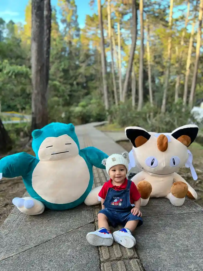 Pokemones De Peluche Gigantes