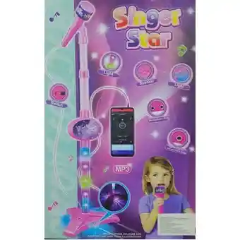 Juguete Microfono Karaoke Mp3 Con Luces Hk-8029 Rosa