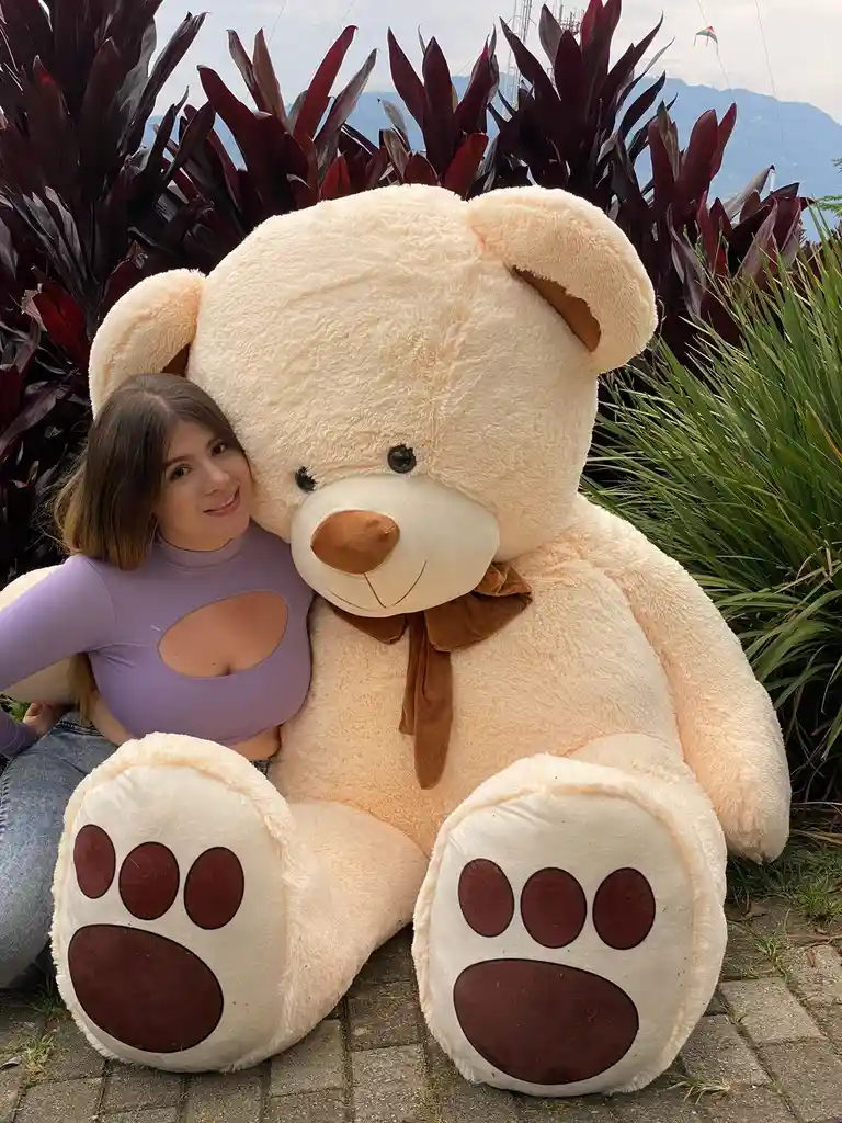 Oso Peluche Extra Gigante 250 Centimetros