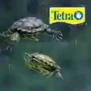 Reptomin Tetra Tortugas 2.64lb