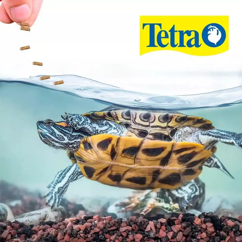 Reptomin 105g Alimento Tetra