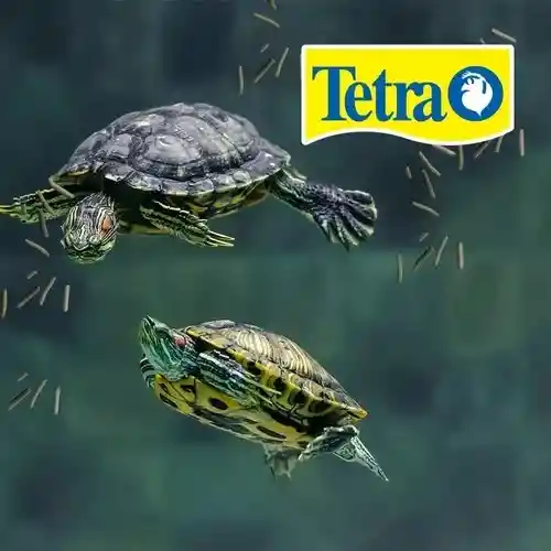 Reptomin Tetra Tortuga Rana 60g