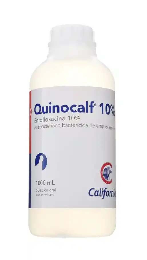 Quinocalf 10% Oral Fco X Lt