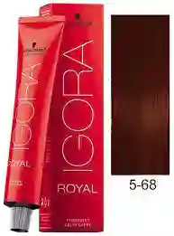 Igora Royal 5-68 (568) Castaño Claro Chocolate Rojo 5 68