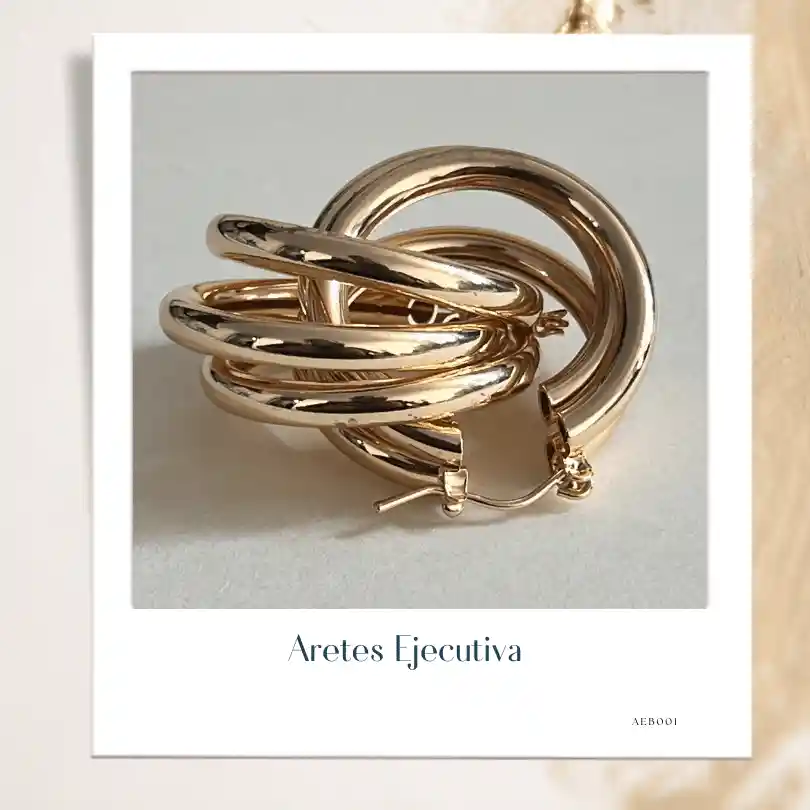 Aretes Ejecutiva