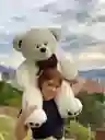 Osos De Peluche De 100 Cm Grandes