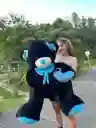 Osos De Peluche Con Corazon Grandes 140 Cm