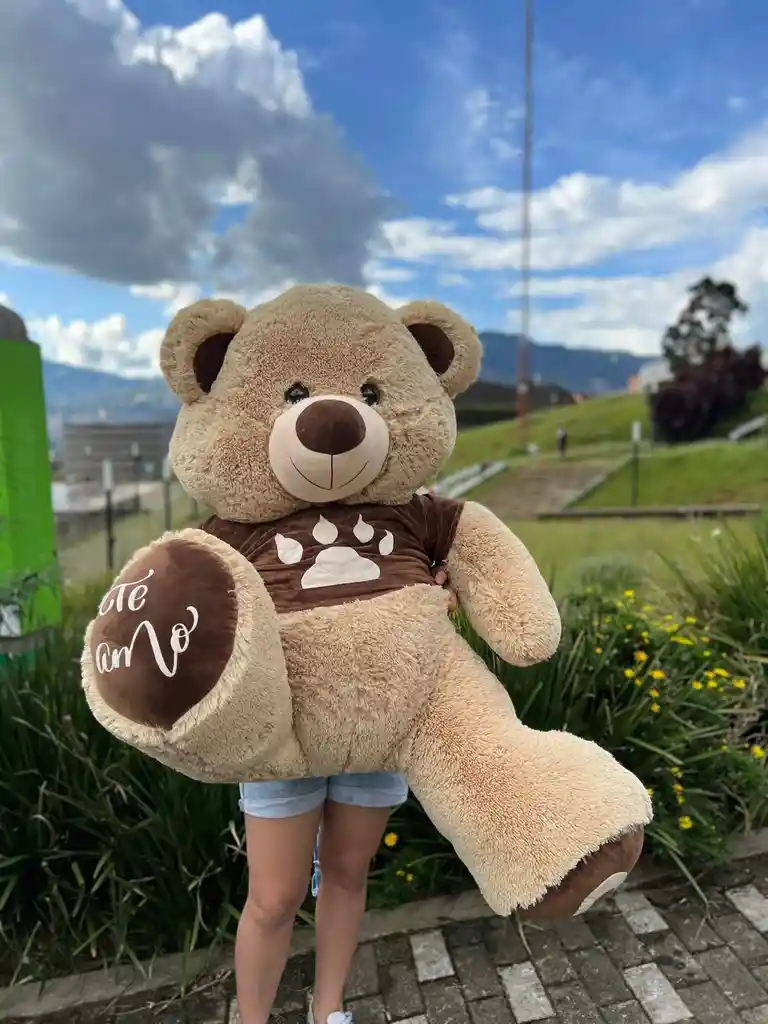 Oso De Peluche Con Camisa De 150 Cm