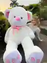 Osos De Peluche Gigante Medida 2 Metros