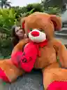 Osos De Peluche Con Corazon Gigantes