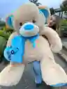 Osos De Peluche Con Corazon Gigantes