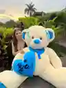 Osos De Peluche Con Corazon Gigantes