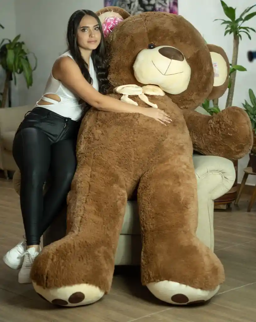 Osos De Peluche Extra Gigante 250 Cm