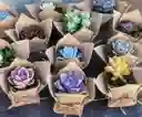Suculentas En Matera Plástica X 12 Und Con Decorado Yute Y Cinta, Souvenir O Recordatorio- Detalle Con Amor Para Regalo En Fecha Especial, Cumpleaños, Aniversarios, Condolencias, Graduación, Felicitación Y Agradecimiento.