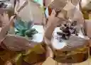 Suculentas En Matera Plástica X 12 Und Con Decorado Yute Y Cinta, Souvenir O Recordatorio- Detalle Con Amor Para Regalo En Fecha Especial, Cumpleaños, Aniversarios, Condolencias, Graduación, Felicitación Y Agradecimiento.